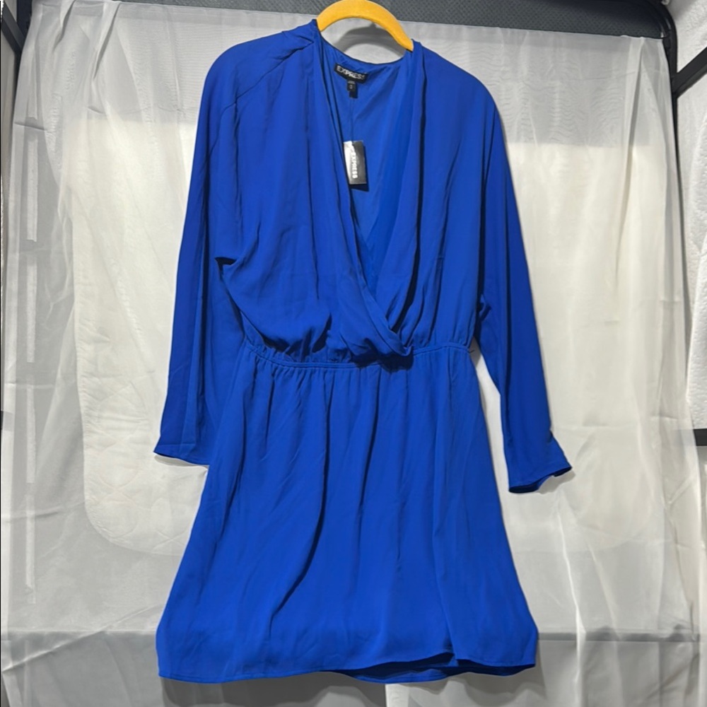 Express Royal Blue Long Sleeve Dress